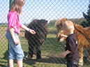 04%20042%20IMG_9333